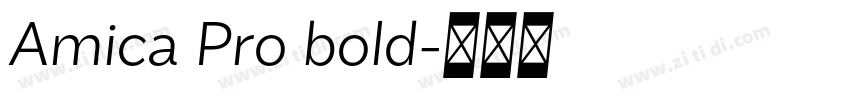 Amica Pro bold字体转换